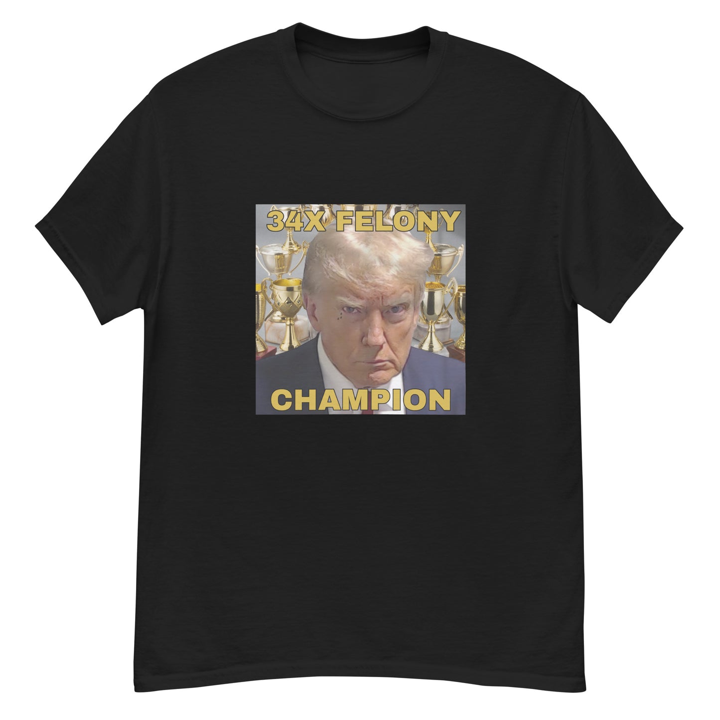 34X Felony Champion T-Shirt – Wear the Truth Loud and Proud