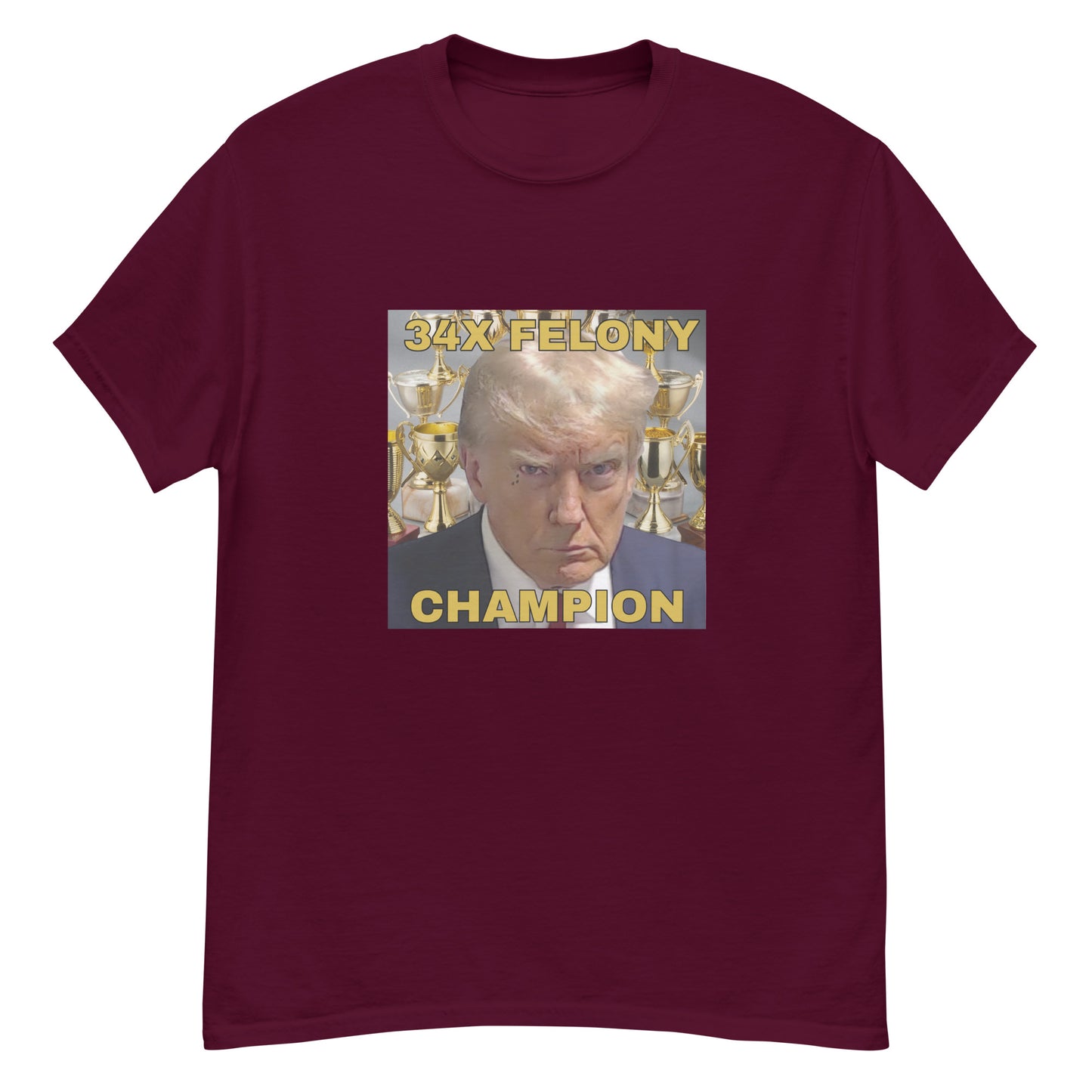34X Felony Champion T-Shirt – Wear the Truth Loud and Proud