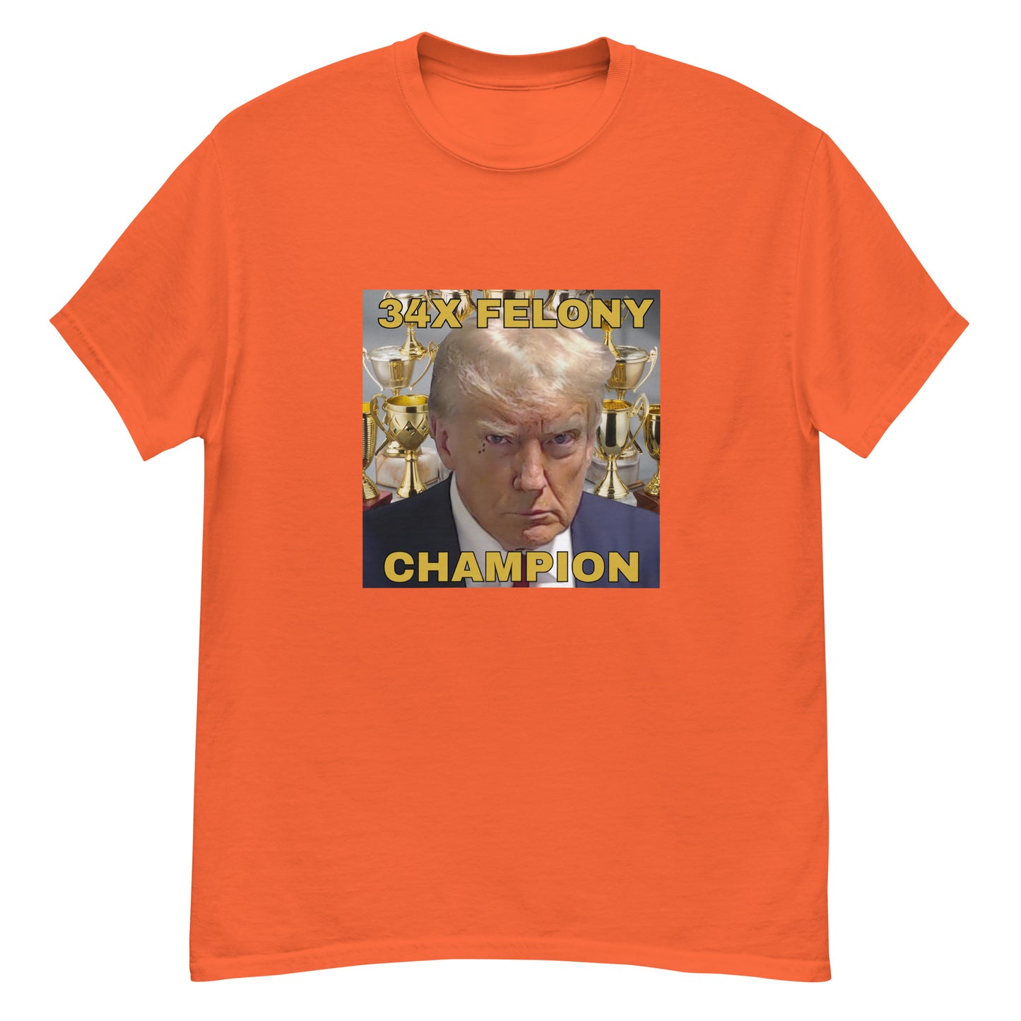 34X Felony Champion T-Shirt – Wear the Truth Loud and Proud